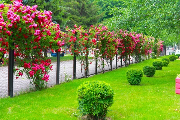 Клинический санаторий Виктория в Ессентуках